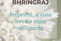 Bhringraj | Proprietà, a cosa serve e come utilizzarla